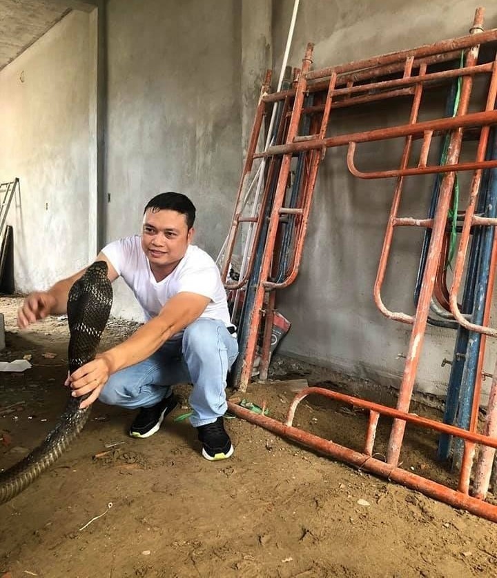 Dịch vụ bắt rắn độc tại quận 1 chuyên nghiệp